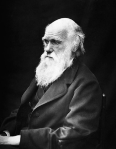 charles-robert-darwin-scientists-naturalist-theory-of-evolution-preview
